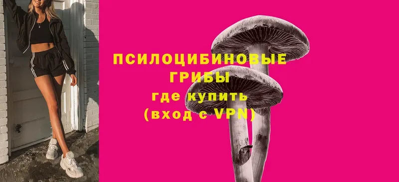 Галлюциногенные грибы Cubensis  Дальнереченск 